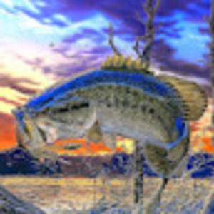 Meet your Posher, Mason